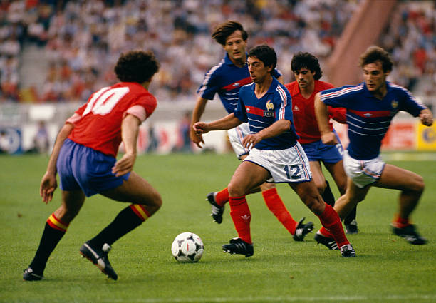 将有助于提 将有助于提