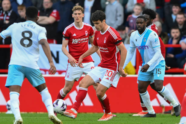 的明星阵容 的明星阵容