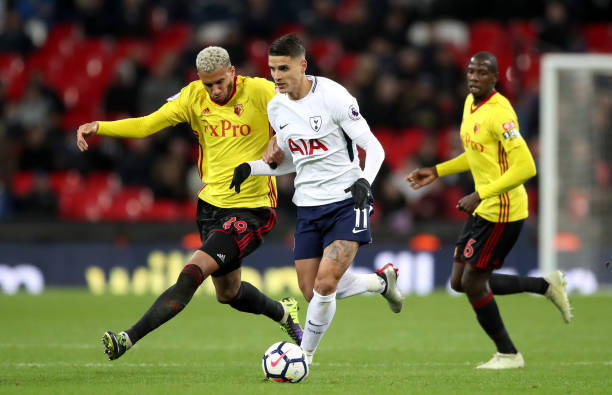 的新活力 的新活力